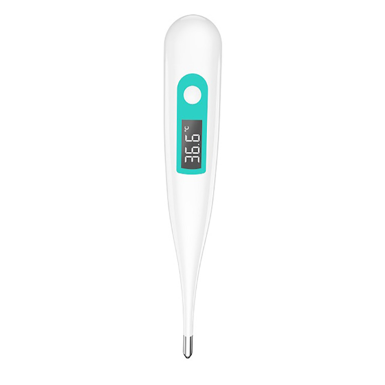 Oral Digital Thermometer