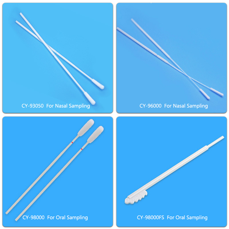 Apejọ Apeere Awọ Ara Buccal Nylon Sterile Irọrun Imudani Iwoye Gbigba Maikirobaoloji Apeere Gbigbe Swab